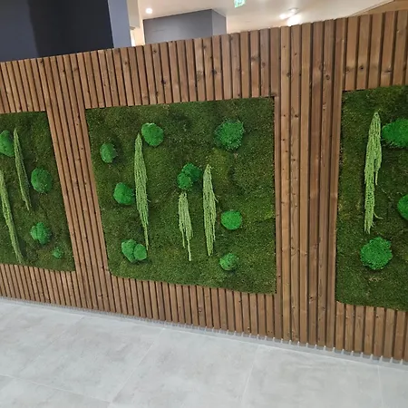 стаята на ив * バンスコ